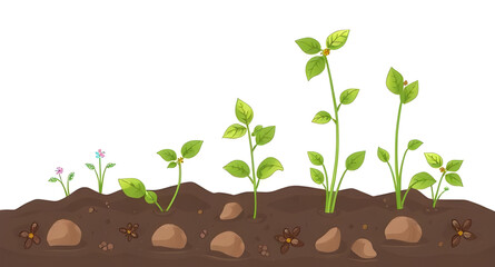 growing plant, plant growth, new plant, soil and seedling, plant germination, small plant, plant development, fresh sprout, nature growth, eco growth, plant in earth, plant care, garden seedling, agri