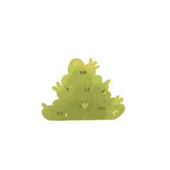 Green plant