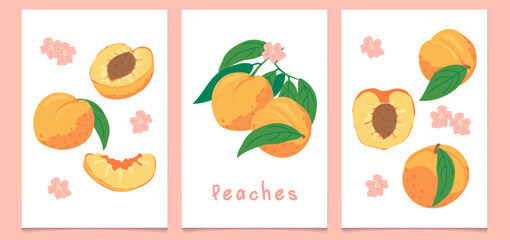 A set of vintage posters featuring ripe peaches drawn by hand. A modern botanical print with hand-drawn peaches, leaves, and flowers.