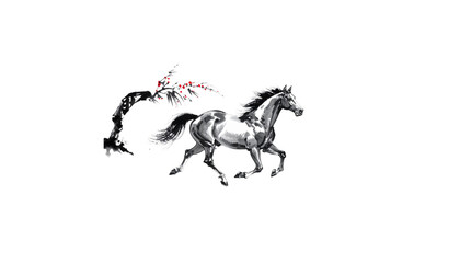 Silhouettes of two running horses in black illustration isolated on white background.