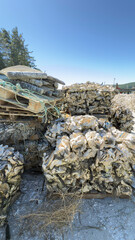 Mountains of oyster shells at a Oregon seafood business.
