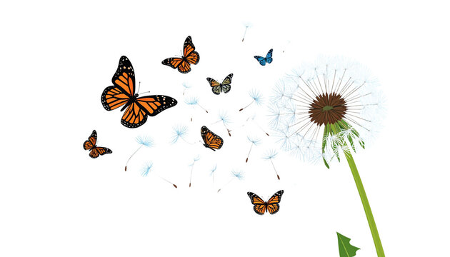 Fototapeta Illustration set of blooming dandelion butterflies on bright green grass field under summer sky with fluffy seeds, isolated on white background