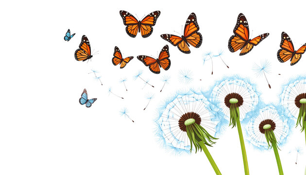 Fototapeta Illustration set of blooming dandelion butterflies on bright green grass field under summer sky with fluffy seeds, isolated on white background