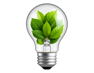 Eco light bulb filled with green leaves, isolated on a transparent background
