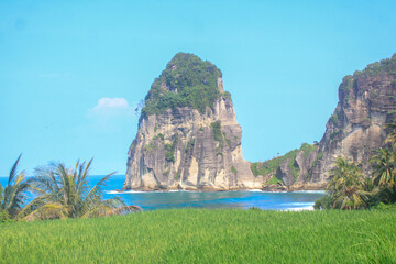 Pangasan Beach in Pacitan, Indonesia, features lush rice fields and dramatic cliffs meeting the...