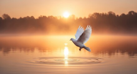 Serene White Bird Flying Over Calm Water at Sunrise
