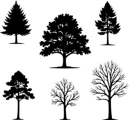 Obraz premium Tree Silhouette Collection Bundle – Nature, Seasons & Palm Trees