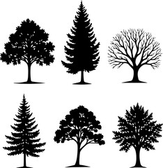 Obraz premium Tree Silhouette Collection Bundle – Nature, Seasons & Palm Trees
