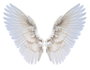 Fototapeta premium Symmetrical White Angel Wings Spread Open, Front View, Isolated