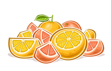 Vector Grapefruit Heap