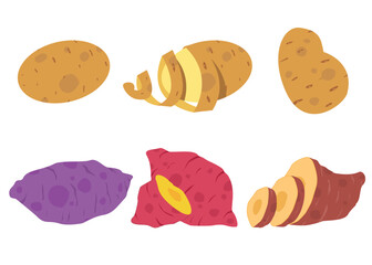 Vector Set of Potatoes and Sweet Potatoes – Whole and Sliced Flat Illustration
