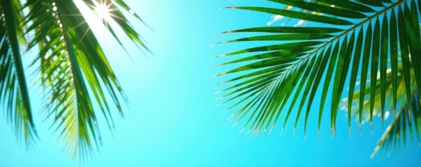 Crisp palm leaves silhouette, azure sky backdrop , green, exotic