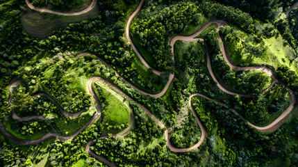 Aerial 'X-Mark' Trails: Nature's Hidden Paths Weaving Through Lush Landscape