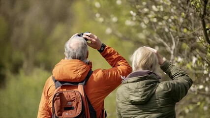 Couple birdwatching in nature, using binoculars - Powered by Adobe