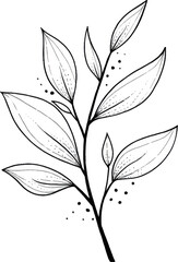 Obraz premium black and white floral