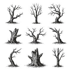 A set of dry, dead trees in vintage ink drawing style with twisted forms. © Chairul