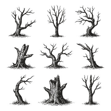A set of dry, dead trees in vintage ink drawing style with twisted forms.