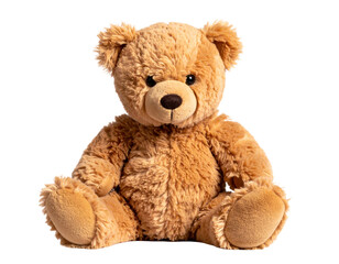 Obraz premium Cute fluffy teddy bear on white