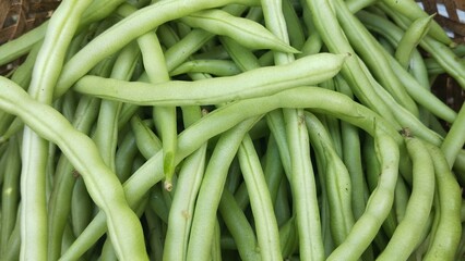 Freshly Harvested Green Beans