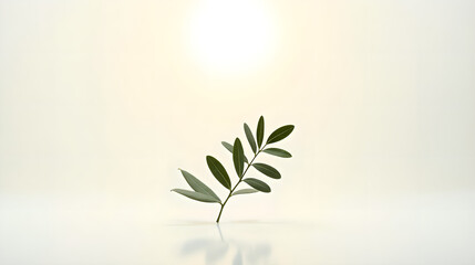 Olive Branch Lit by Warm Sunlight on Pale Background
