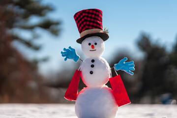 Snowman in a snowy field. Funny snowman with a carrot nose and scarf and winter hat. Snowman...