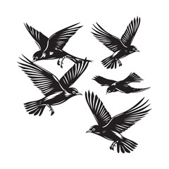 Set of Birds - Collection of Colorful and Beautiful Birds in Nature