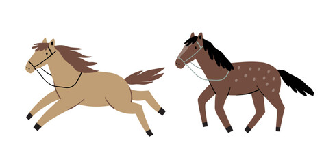 Cowboy accessories set. Western boots, shoes, hat, plants, animals, sheriff star. American country fashion. Flat style vector illustration