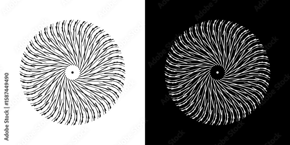 Fototapete abstract background with line pattern forming circle. spiral art design as logo or icon. black lines