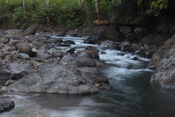 A stunningly beautiful tropical river in Asia. Tropical river background in the morning