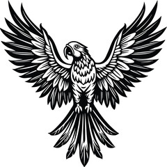 Obraz premium Majestic parrot with spread wings in black and white bird flying