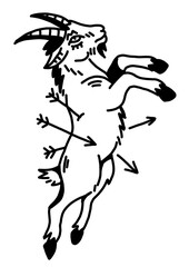 Goat illustration with arrows. Minimalist black and white design