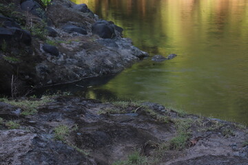 Perfect Nature Mirror of Green Leaves on Riverside

Emerald Leaf Reflection in Clear Jungle Stream