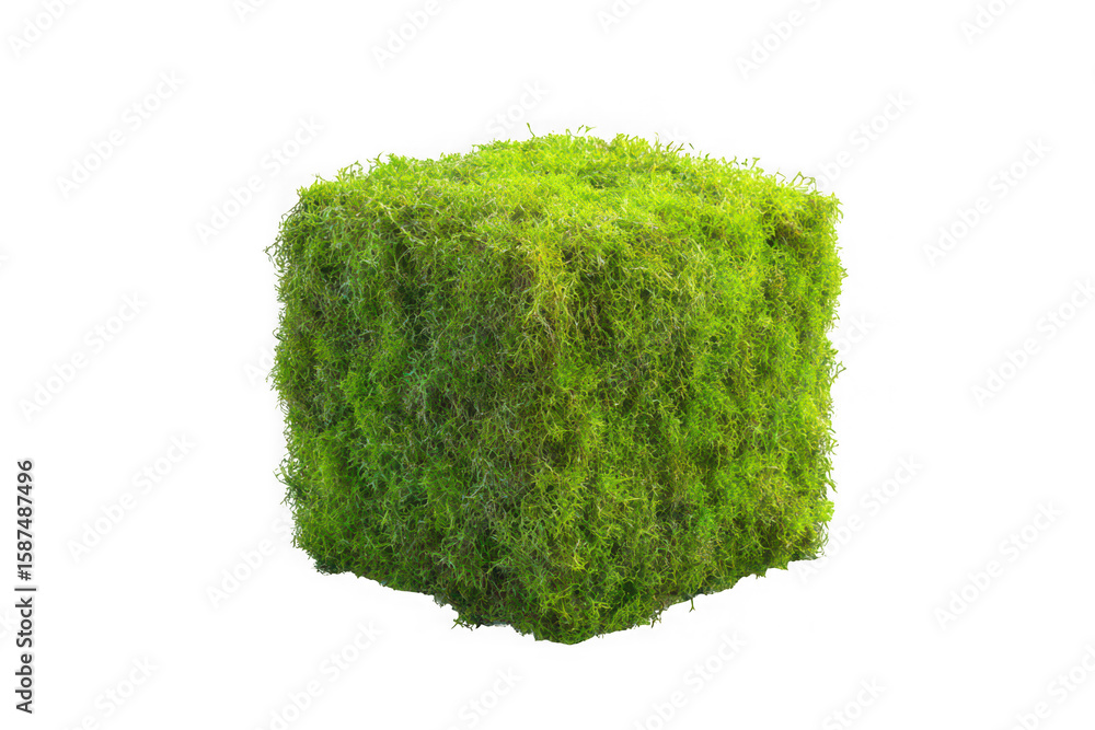 Fototapete high-resolution green moss cube texture material 3d model render realistic detailed surface isolated