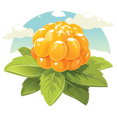 Golden Cloudberries, Arctic Delicacy