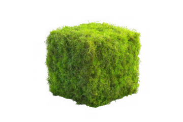 High-resolution green moss cube texture material 3d model render realistic detailed surface isolated on transparent background