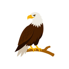 bald eagle perched on branch hand paint and vector