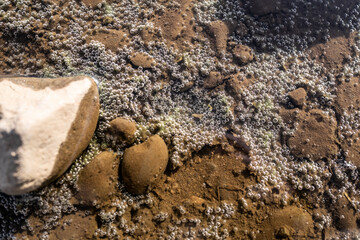A Shallow Muddy Riverbed Speckled with Tiny Bubbles
