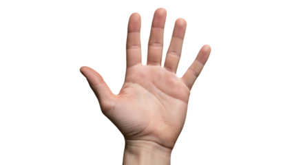 Open palm showing fingers and lines hand skin