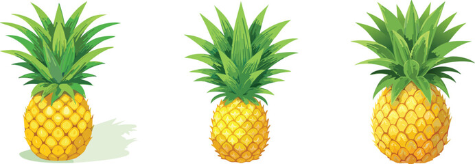 Fresh Pineapple, Juicy & Refreshing