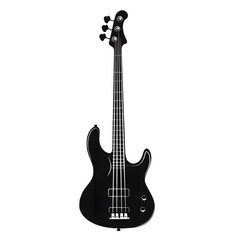 Fototapeta premium Bass black silhouette isolated on a transparent background