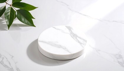 Leaf light reflections on white marble surface,