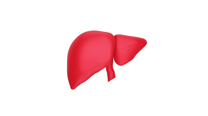 3D Render of Human Liver &ndash;Transparent PNG Medical Anatomy Illustration