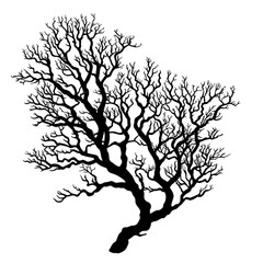 Coral black silhouette isolated on a transparent background