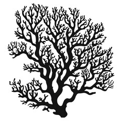 Coral black silhouette isolated on a transparent background