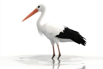 Stork wading in water 3d render cartoon character on white background