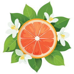 Tangy Grapefruit, Zesty & Refreshing