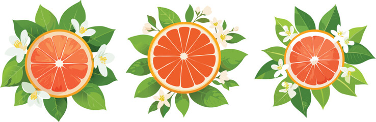 Pink Grapefruit, Juicy & Antioxidant Rich