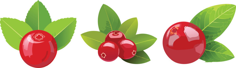 Fresh Cranberries, Healthy & Tangy