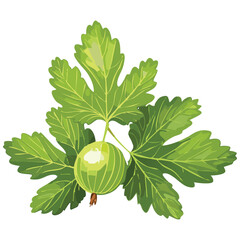Tart Gooseberries, Green & Tangy