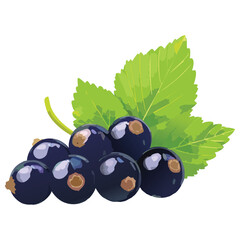 Fresh Currants, Healthy & Juicy